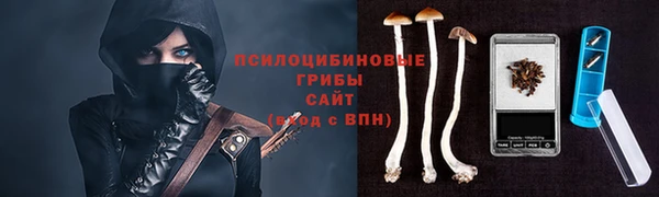 бошки Ступино