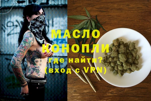 гидра Богородицк