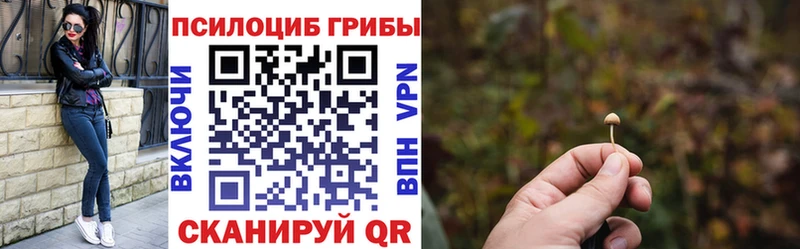 Псилоцибиновые грибы Psilocybe  цены   Тобольск 