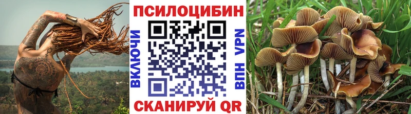 Псилоцибиновые грибы прущие грибы Тобольск