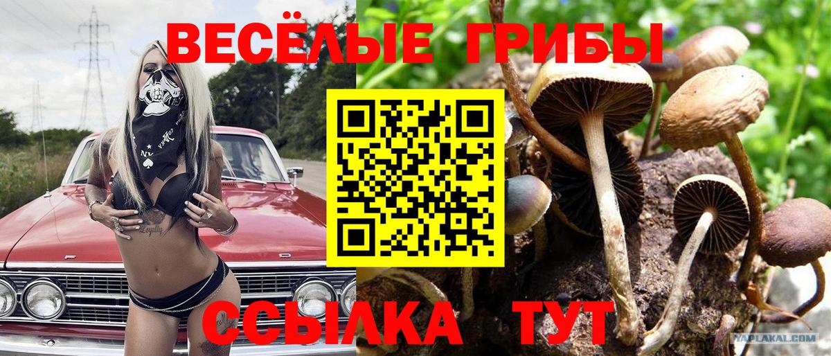 Тобольск  Галлюциногенные грибы прущие грибы  Вход с VPN 