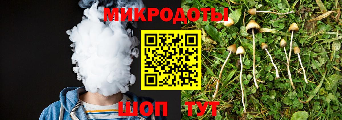 Псилоцибиновые грибы ЛСД  Псилоцибиновые грибы Psilocybe  Тобольск 