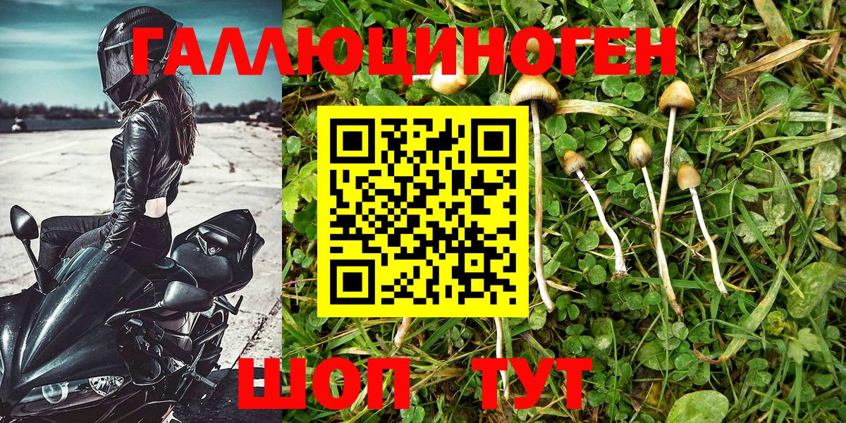 Галлюциногенные грибы Magic Shrooms Тобольск